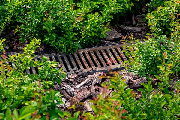 Cost of Underground Drainage Service in Clayton