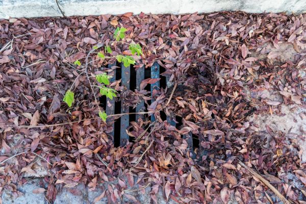 Cost of Yard Drain Unclogging in Clayton