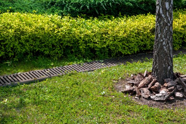 Cost of Residential Landscape Drainage in Clayton