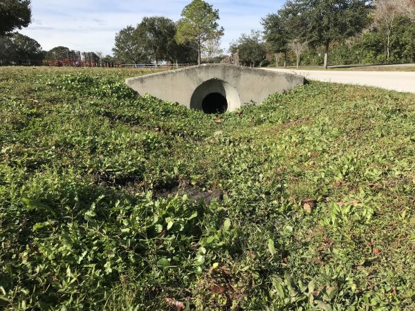 Cost of Swale Drainage Service in Clayton
